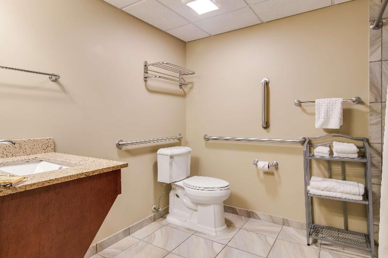 חדר סטנדרט מותאם לאדם עם מוגבלויות, Best Western Plus Traverse City