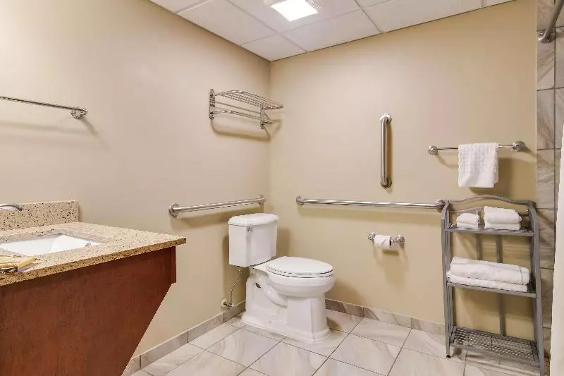 اتاق استاندارد برای معلولان, Best Western Plus Traverse City
