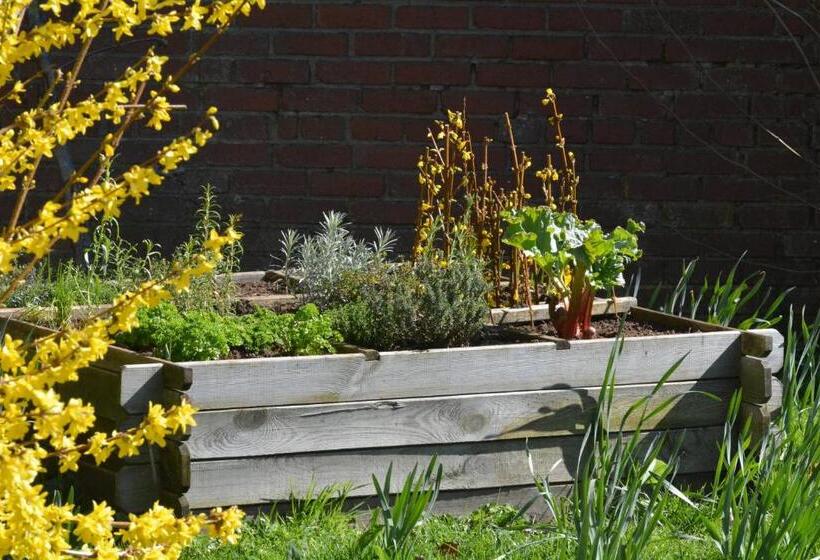 غرفة قياسية, Le Fagotin   Youth Hostel