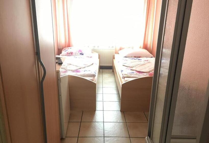 Номер Стандарт, Yans