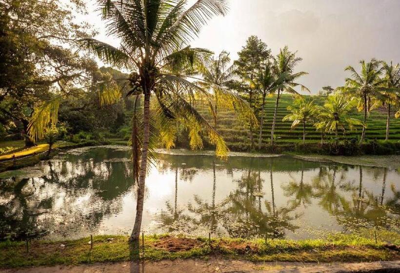 בקתה סופריור, Alam Taman Villa