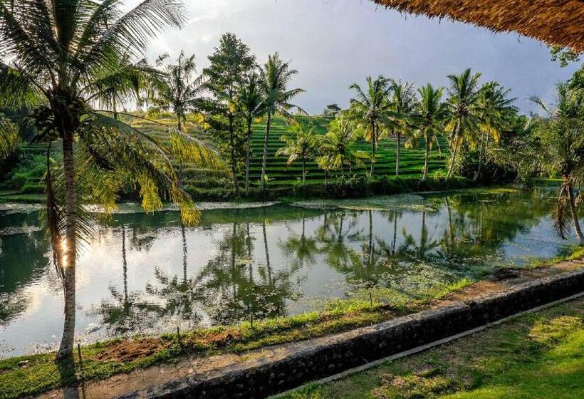 בקתה סופריור, Alam Taman Villa