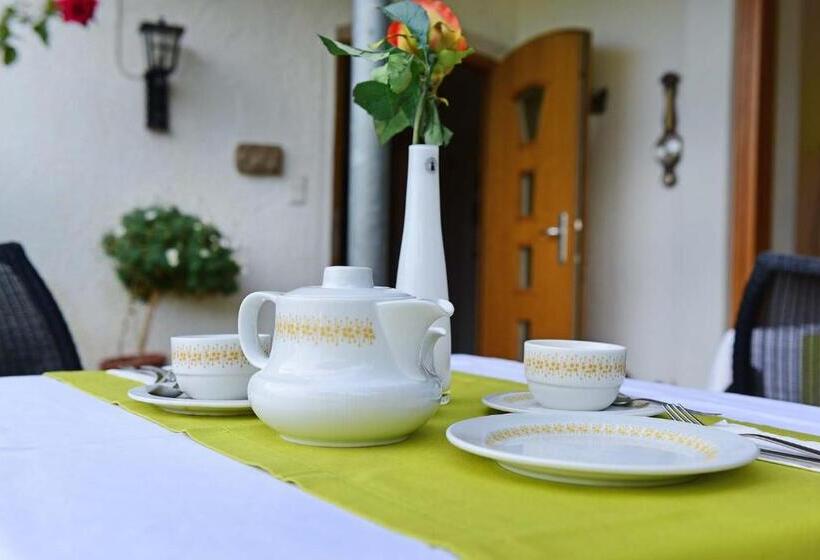 标准间带露台, Haus Rosengarten