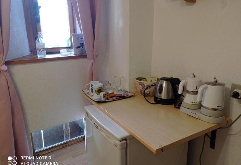 اتاق استاندارد, Canton 520 Camera Matrimoniale E Appartamento Self Check In