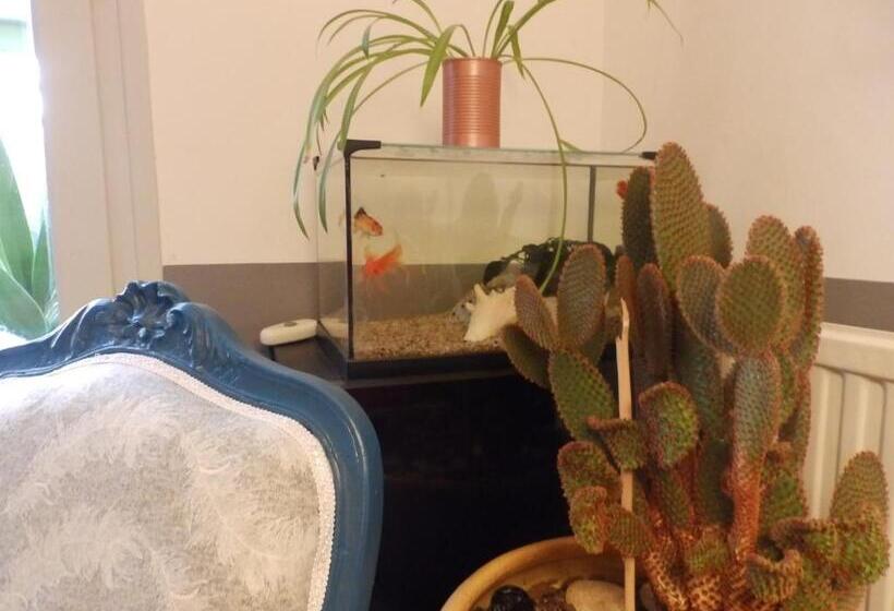 اتاق استاندارد, Chez Jak Et Laurent