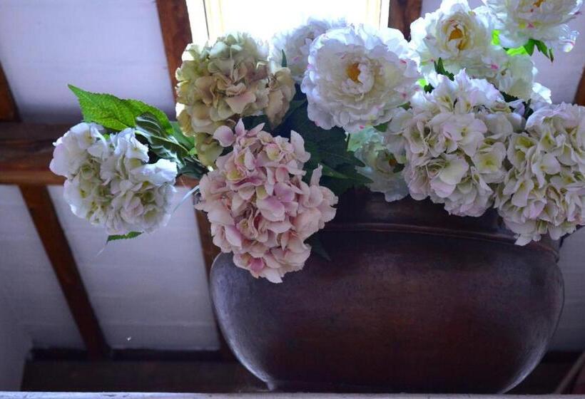 غرفة قياسية, Cosetta Guest House