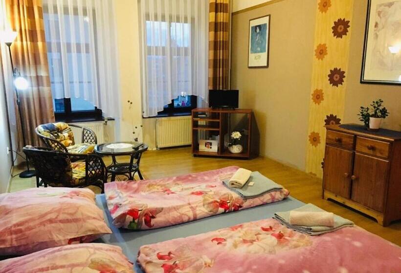 غرفة قياسية, Penzion U Modrého Zvonku