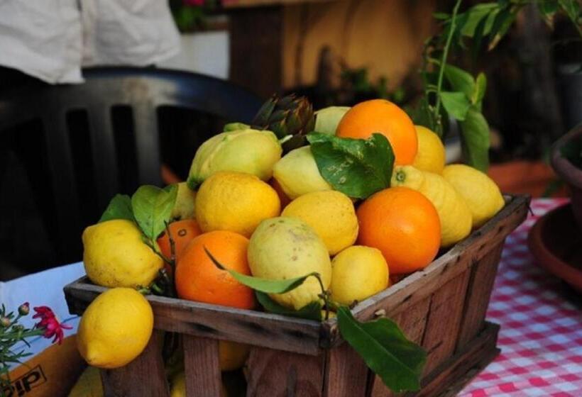 ２ベッドルームアパートメント, Agriturismo Del Pigato   Bio Vio