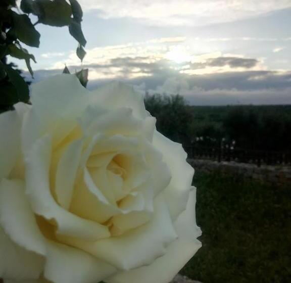 Quarto standard, B & B Monte Adamo