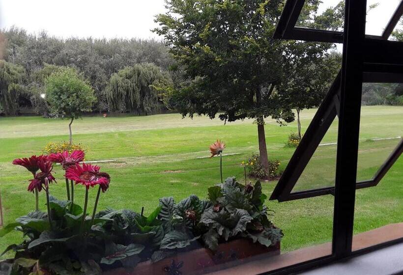 Номер Deluxe, Ibis Nest