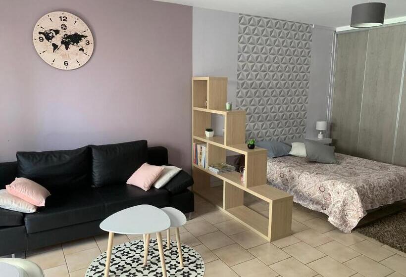 סטודיו משפחתי, Le Mas Des Cerisiers Le Temple Sur Lot