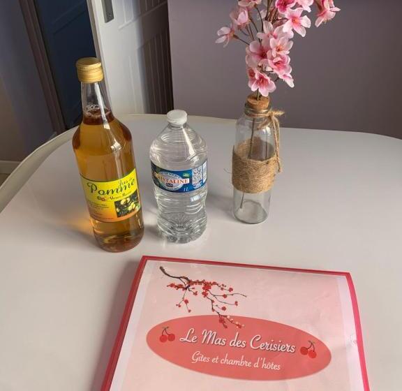 패밀리 스튜디오, Le Mas Des Cerisiers Le Temple Sur Lot