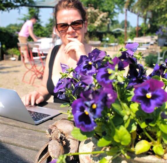 Номер Стандарт, Gasterie Lieve Hemel