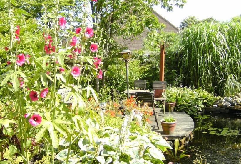 Семейный Номер, T Laaisterplakky