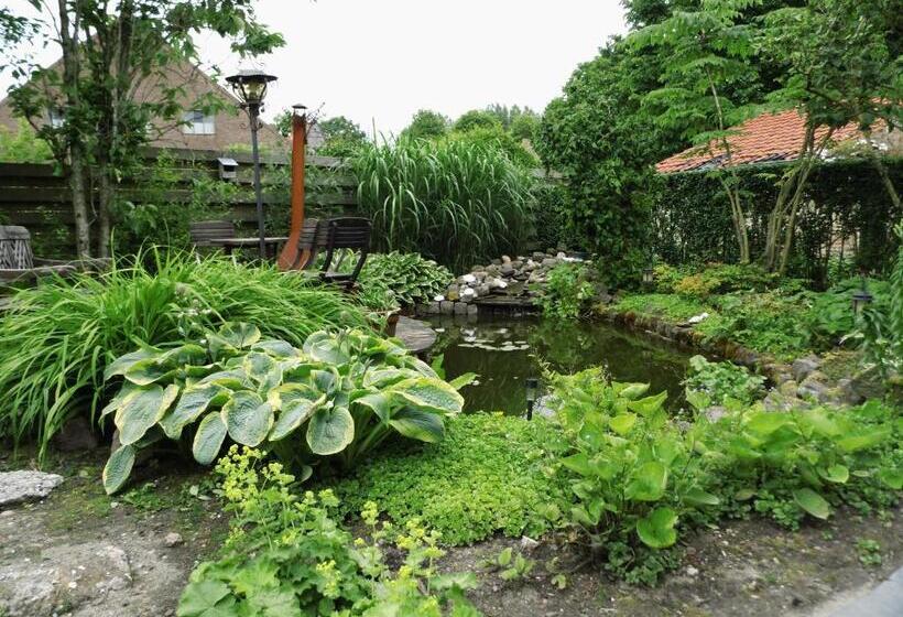 Семейный Номер, T Laaisterplakky