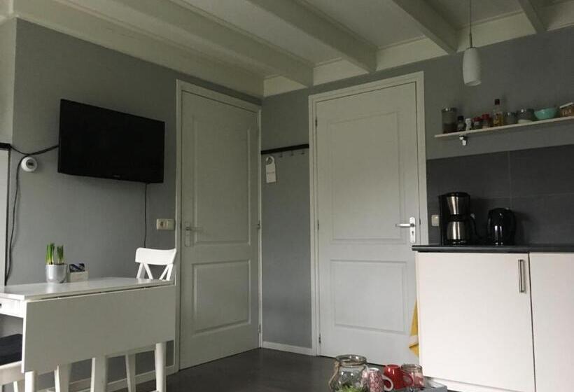 Семейный Номер, T Laaisterplakky