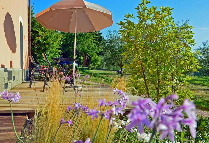 标准工作室, Pò Delle Buche