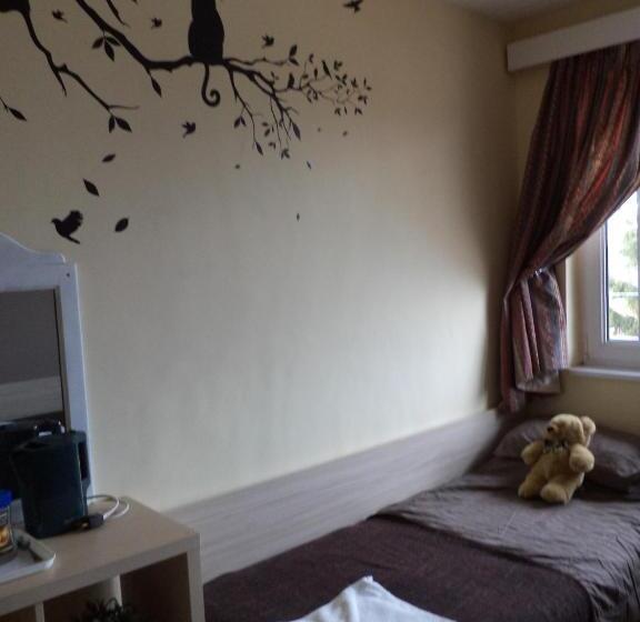 غرفة قياسية حمام مشترك, Elbarr Rogachevo