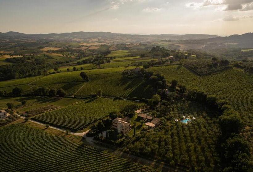 חדר סטנדרט, Fonte Sala