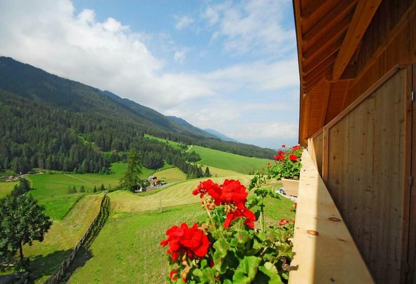 带1个卧室的公寓, Oberkantiolhof