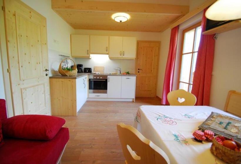 带1个卧室的公寓, Oberkantiolhof