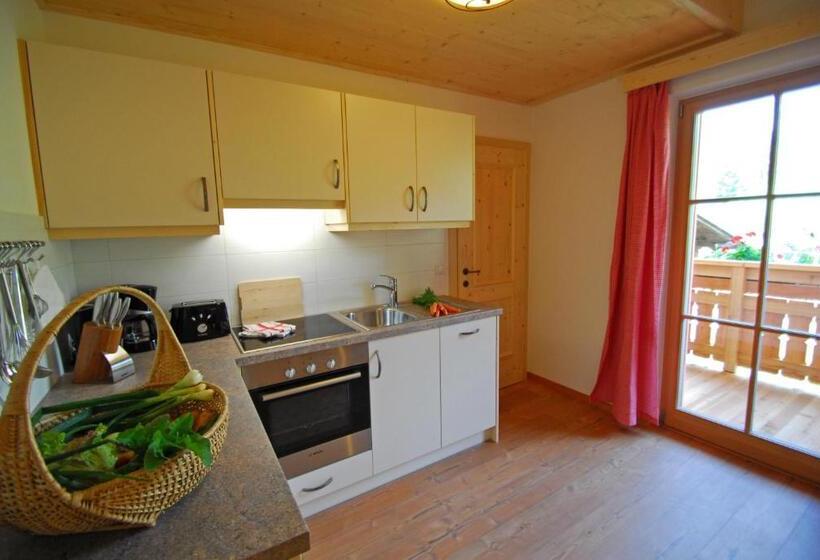 带1个卧室的公寓, Oberkantiolhof