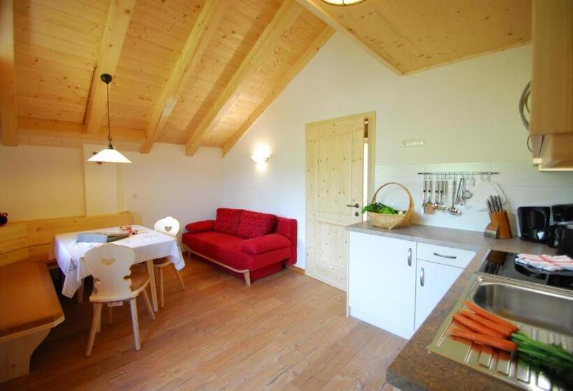 带1个卧室的公寓, Oberkantiolhof