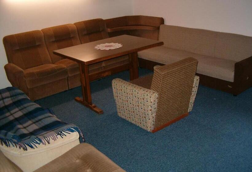 آپارتمان 1 خوابه با چشم‌انداز, Haus Erna