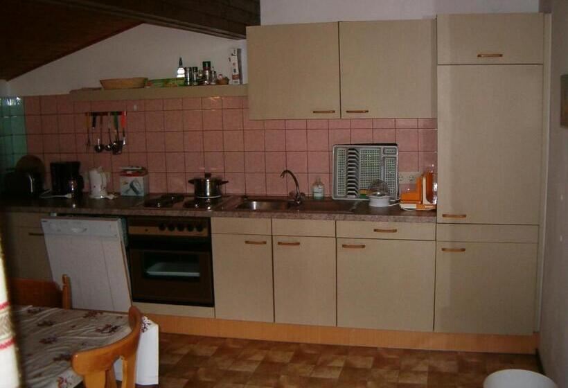 آپارتمان 1 خوابه با چشم‌انداز, Haus Erna