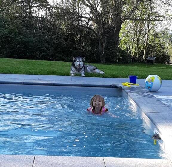 스탠다드 룸, B&b Chatelet Cremers