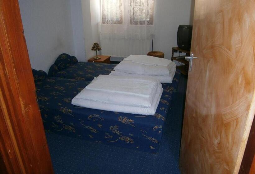 标准间, Vándor Vigadó