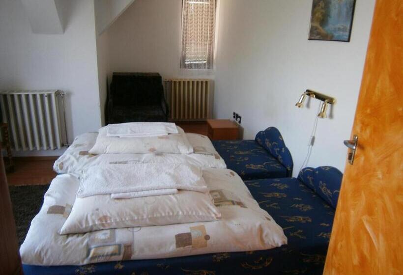 标准三人间共用浴室, Vándor Vigadó