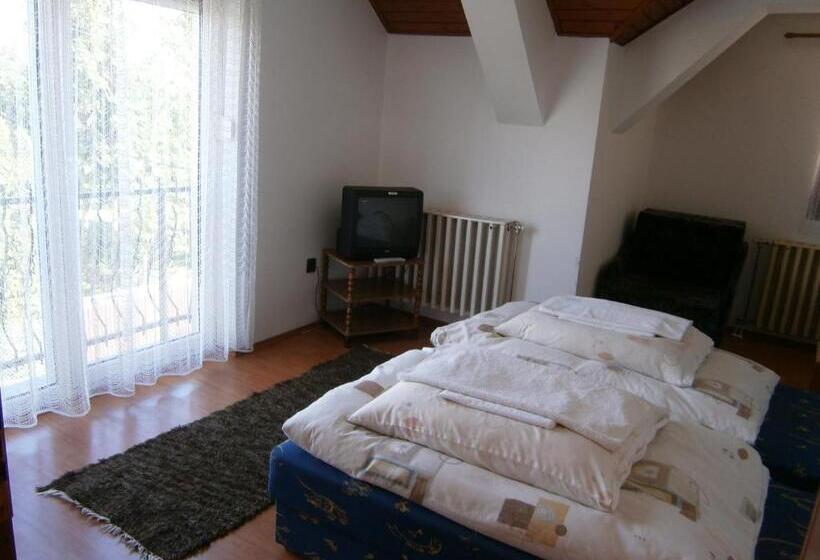 标准三人间共用浴室, Vándor Vigadó