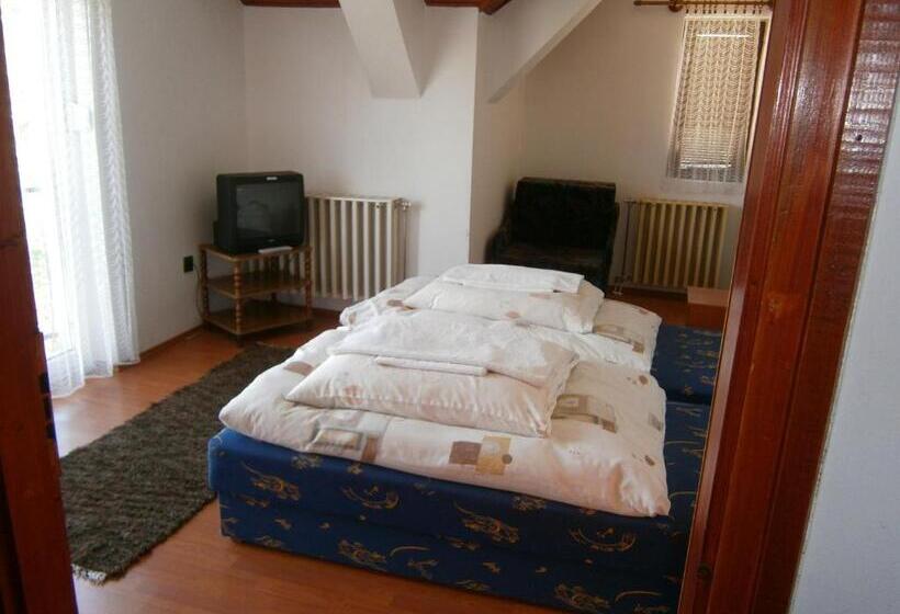 标准三人间共用浴室, Vándor Vigadó