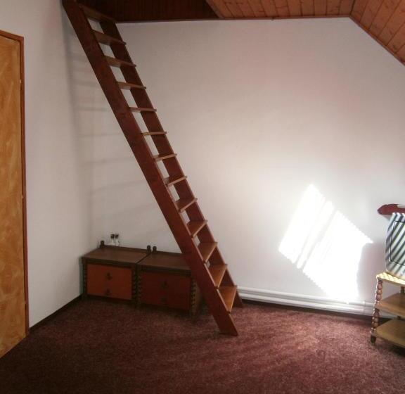 5人标间, Vándor Vigadó