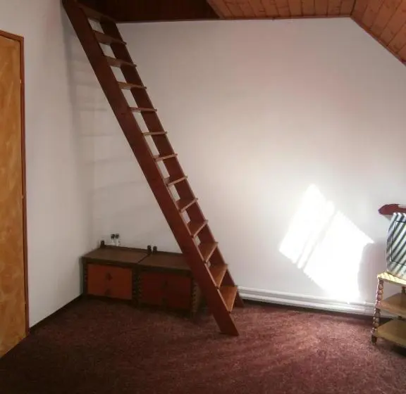 スタンダード5人部屋, Vándor Vigadó