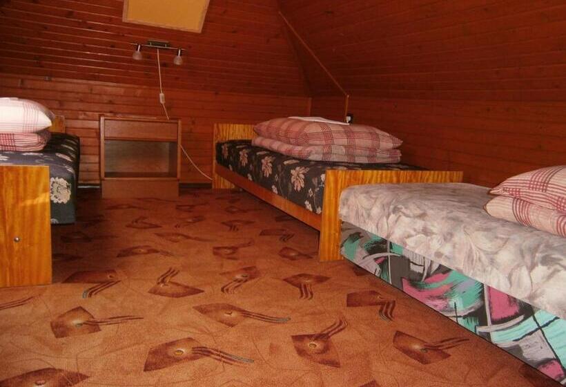 5人标间, Vándor Vigadó