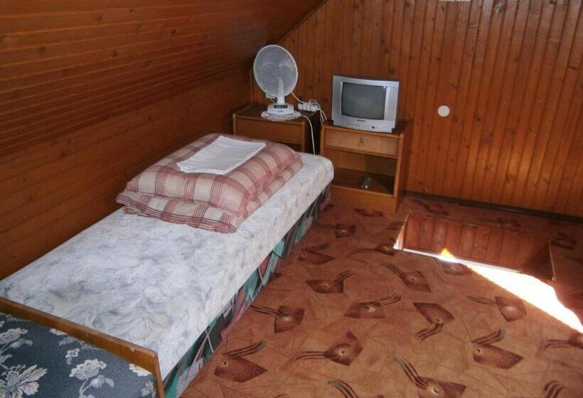 5人标间, Vándor Vigadó