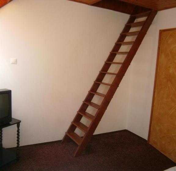 标准间, Vándor Vigadó