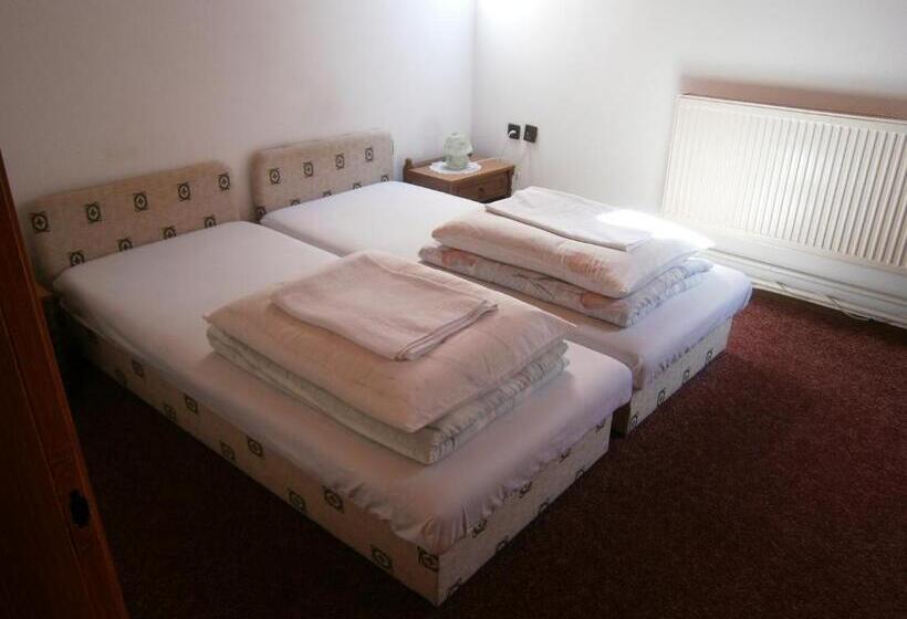 标准间, Vándor Vigadó