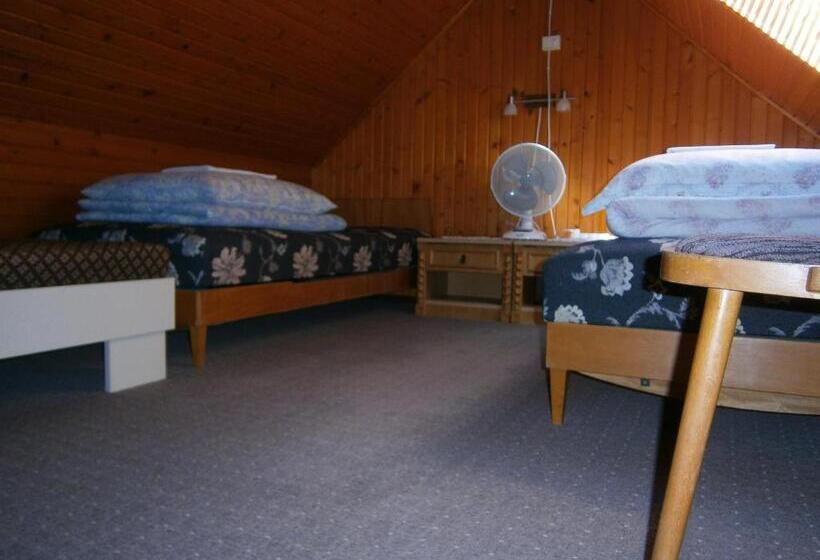 标准间, Vándor Vigadó