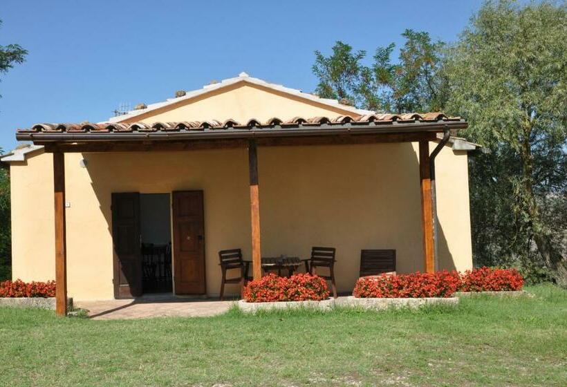 דירת חדר, Campocane Oaks