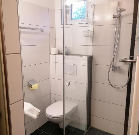 Апартаменты 1 Спальня с Балконом, Landhotel Oberwengerhof
