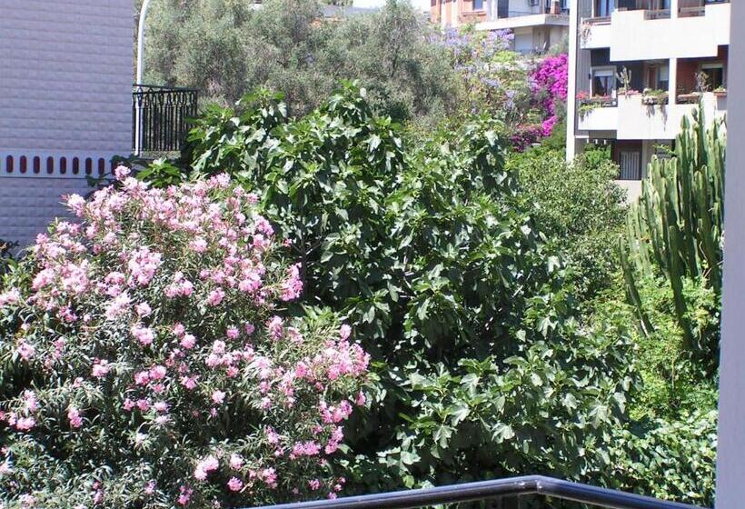 غرفة قياسية مزوَّدة بشُرفة, Anania