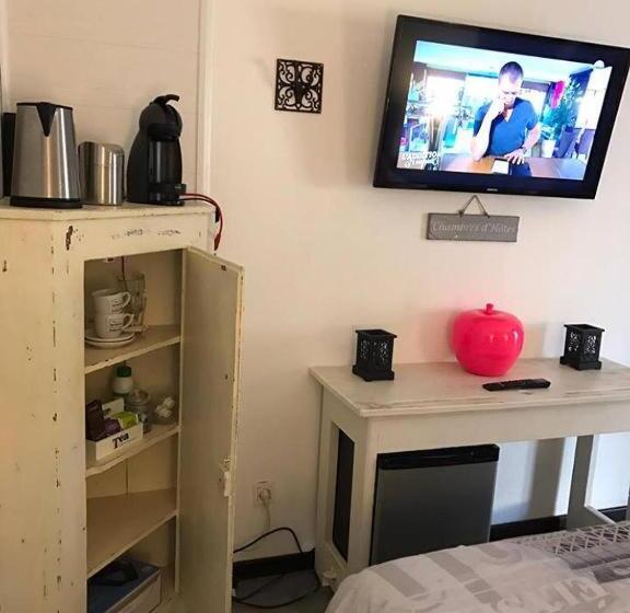 اتاق استاندارد, Repos De La Fontaine