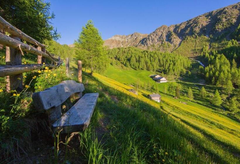 Апартаменты 1 Спальня Вид на Сад, Residence Bannwald