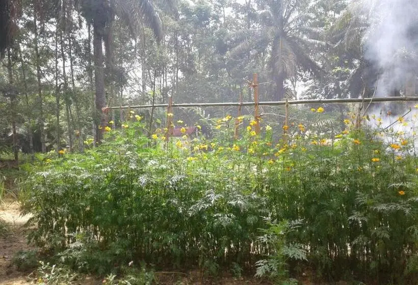 エコノミールーム, Suan Bang Bon Guest House