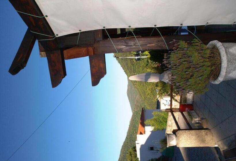 Номер Стандарт, Estrela