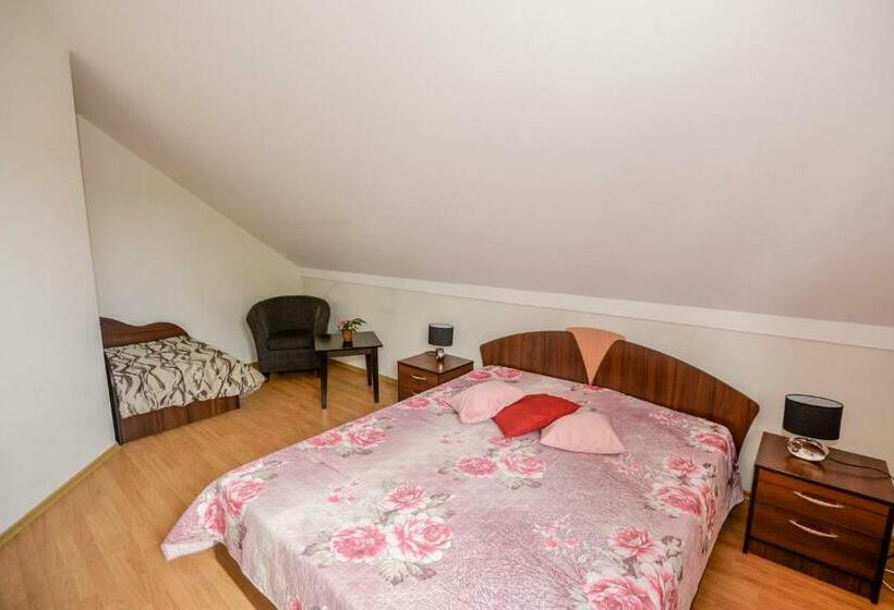 اتاق استاندارد سه نفره, Guest House Pasaulio Krastas