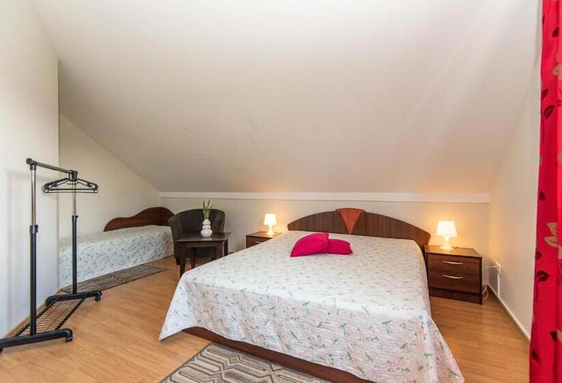 اتاق استاندارد سه نفره, Guest House Pasaulio Krastas